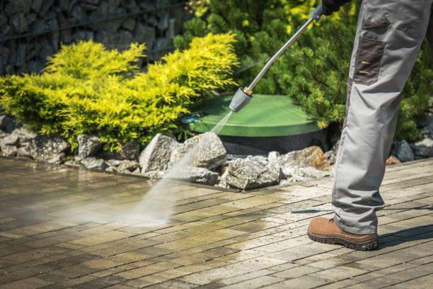Best Roof Cleaning and Mildew Removal in Thorp, WI