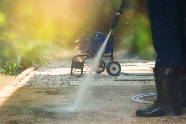 Best Soft Washing for Delicate Surfaces in Thorp, WI